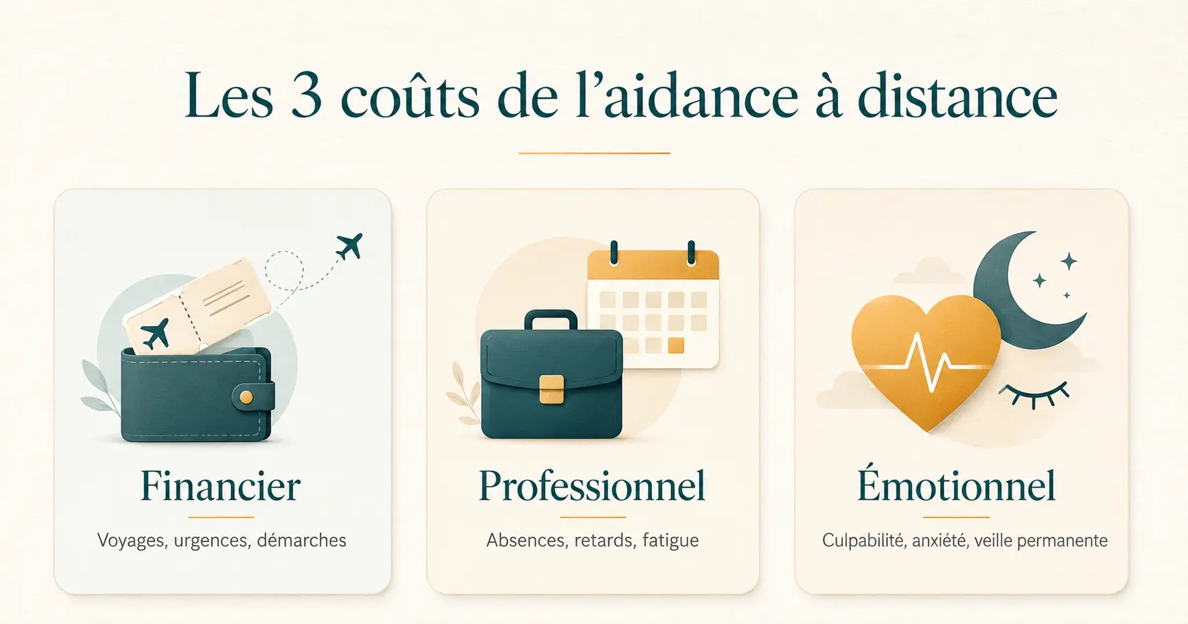 Infographie sur les trois coûts de l'aidance à distance en Martinique : financier, professionnel, émotionnel